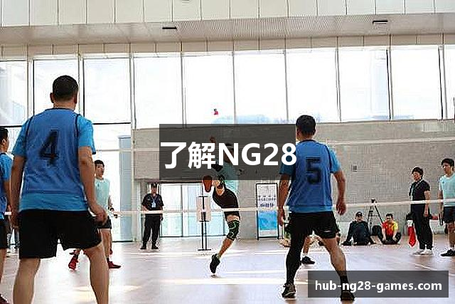 了解NG28